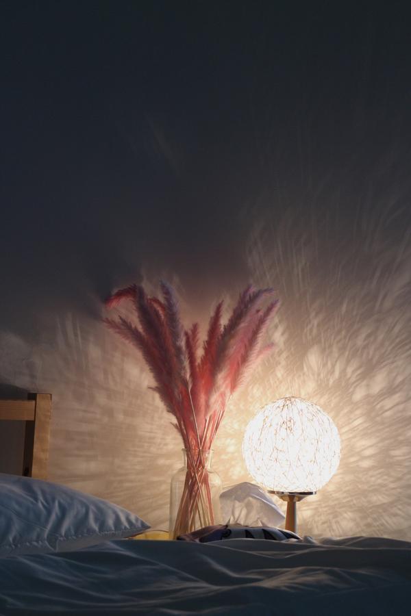 Shanghai Ins Style Apartment Thượng Hải Ngoại thất bức ảnh